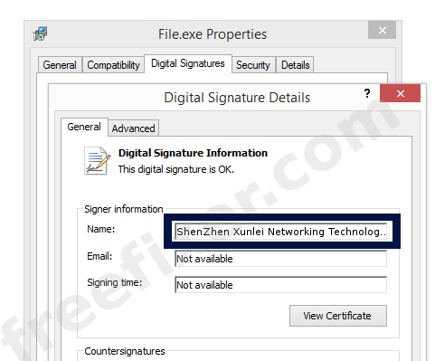 Screenshot of the ShenZhen Xunlei Networking Technologies Ltd. certificate